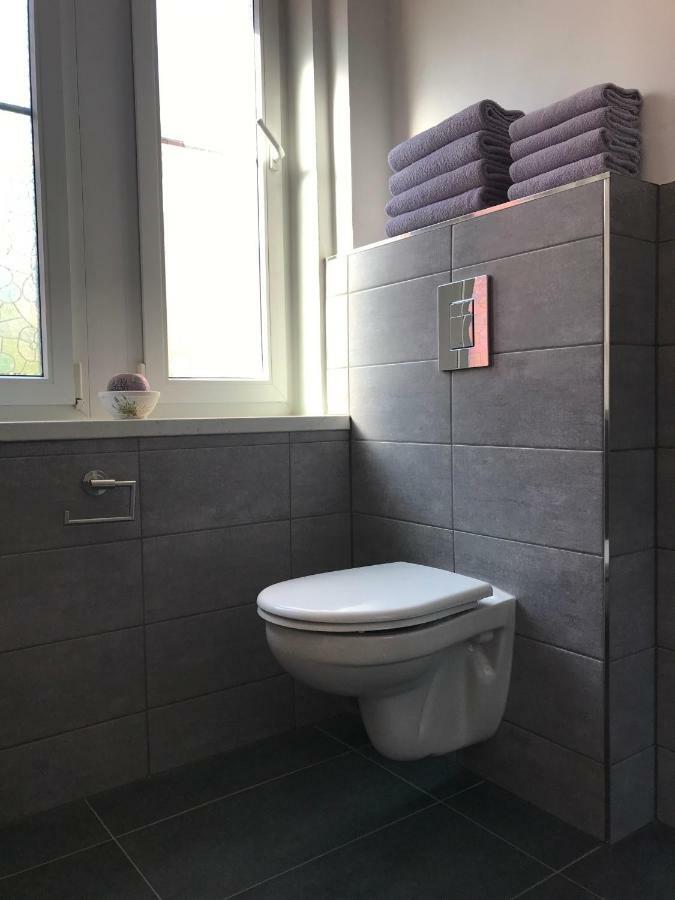 Apartman Havlickova Karlovy Vary Ngoại thất bức ảnh